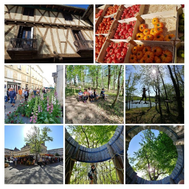 20180507_222359-COLLAGE.jpg