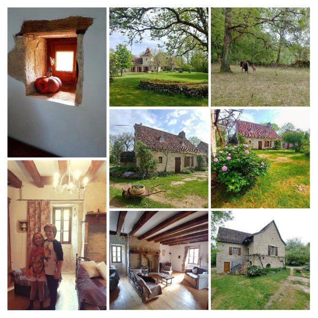 20180509_114757-COLLAGE.jpg