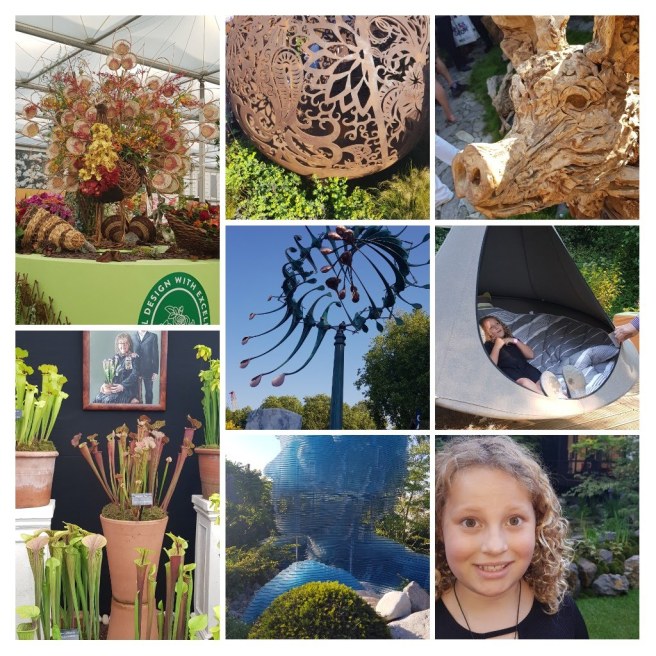 20180605_183411-collage