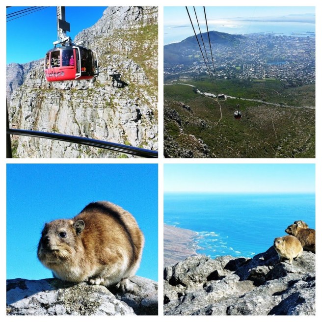 20180623_212458-collage