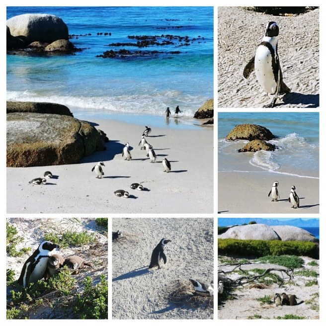 20180624_204858-collage