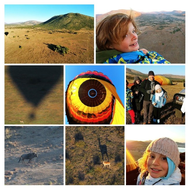 20180625_082148-collage