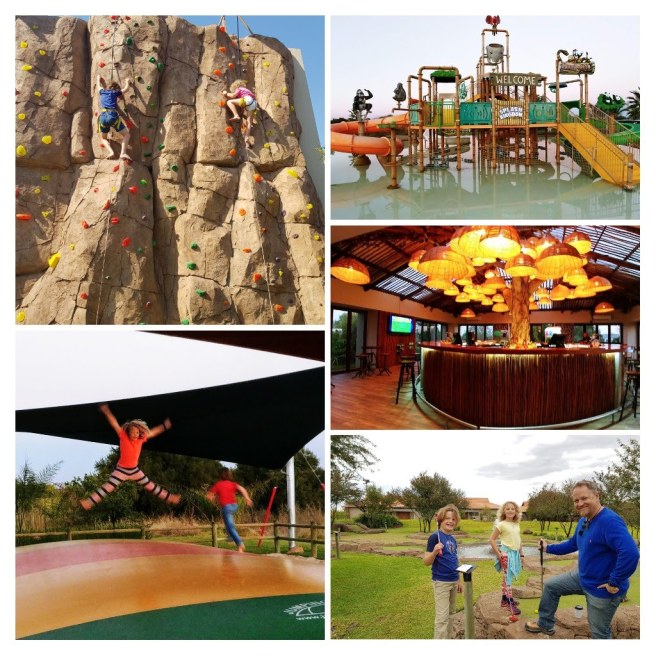 20180625_184604-collage