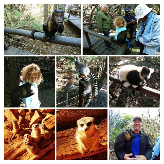 20180625_202723-collage