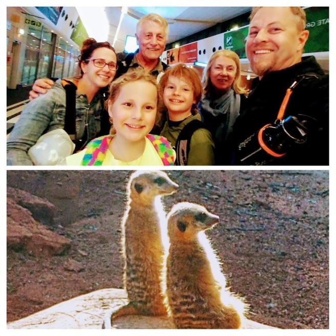 20180625_203003-collage