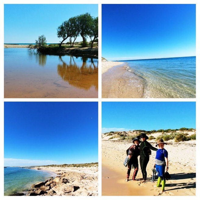 20180628_204805-collage